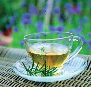 cup of herb tea